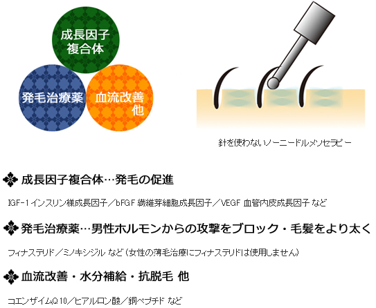 メソセラピー成分