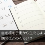 自毛植毛の手術後から髪が生え揃うまでの期間はどのくらい？