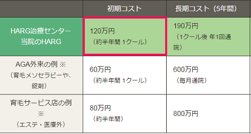 ハーグの治療費