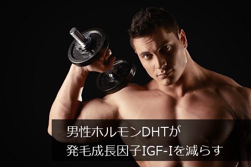 男性ホルモンDHTがIGF-Iを減らす