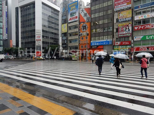 東京駅八重洲北口前の横断歩道