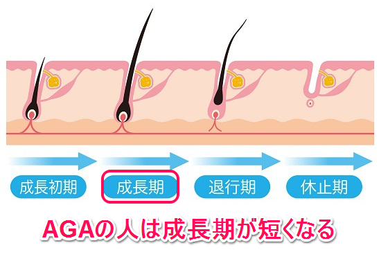 ヘアサイクル