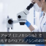 リアップ（ミノキシジル）で発毛するのはアデノシンのおかげ？