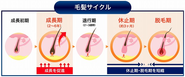 リデンシルの効果