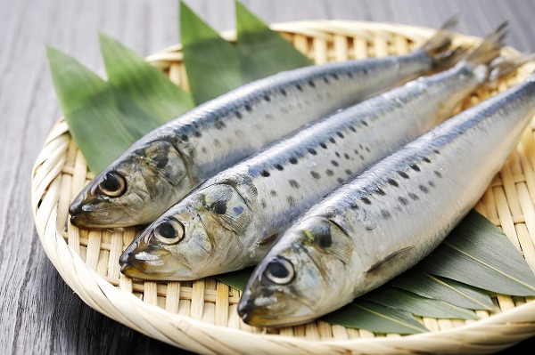 イワシで薄毛治療